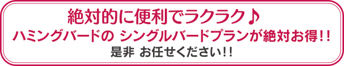 絶対的に便利でラクラク♪ハミングバードのシングルバードプランが絶対お得！！是非 お任せください！！